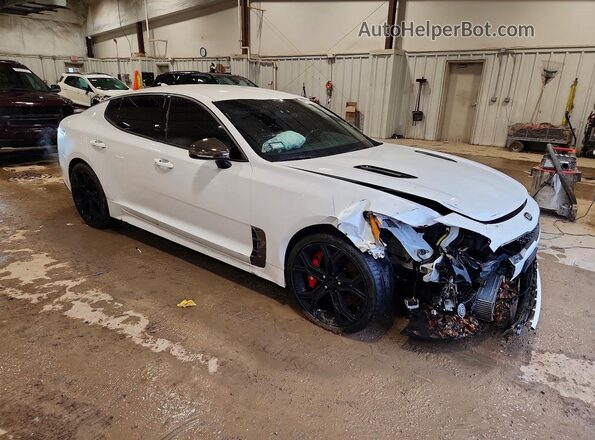 KNAE35LC5K6060207 2019 KIA STINGER White Widok z przodu