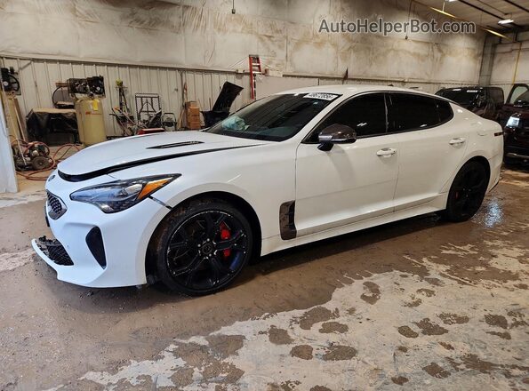 KNAE35LC5K6060207 2019 KIA STINGER White Tył lewy