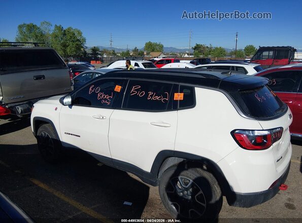 3C4NJDDB0KT709121 2019 JEEP COMPASS White Widok wnętrza z tyłu