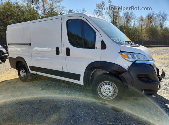 3C6LRVVG5SE543111 2025 RAM PROMASTER Белый 