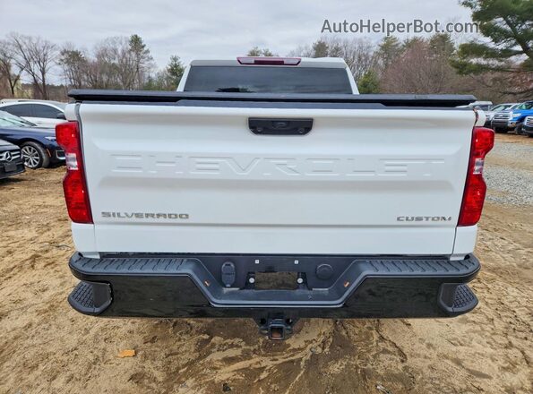 3GCPDCEK8RG204116 2024 CHEVROLET SILVERADO White Widok z tyłu