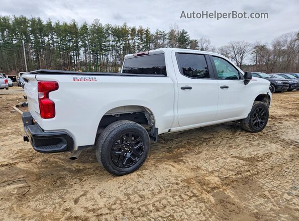 3GCPDCEK8RG204116 2024 CHEVROLET SILVERADO White Tył prawy