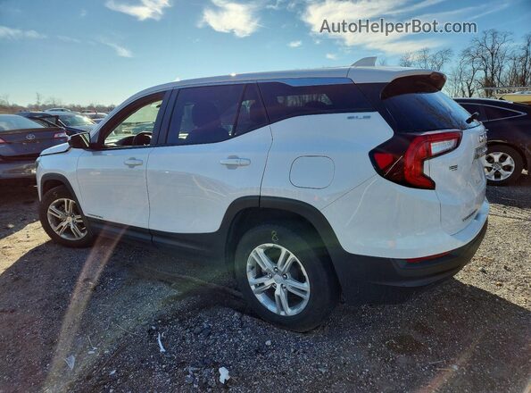 3GKALMEG2PL120652 2023 GMC TERRAIN Белый Задняя левая четверть