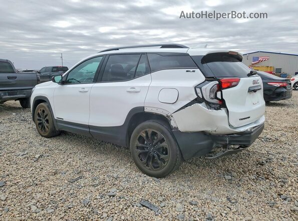 3GKALMEV7LL310813 2020 GMC TERRAIN White Tył lewy