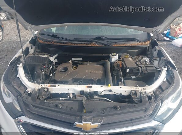 3GNAXSEVXJS546273 2018 CHEVROLET EQUINOX White Rear view
