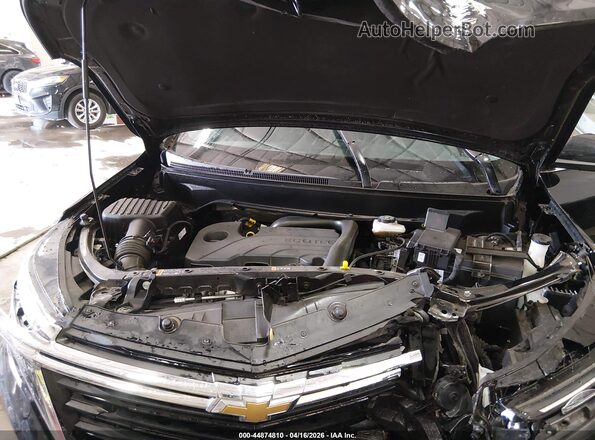 3GNAXTEG3PL226982 2023 CHEVROLET EQUINOX Black Widok z tyłu