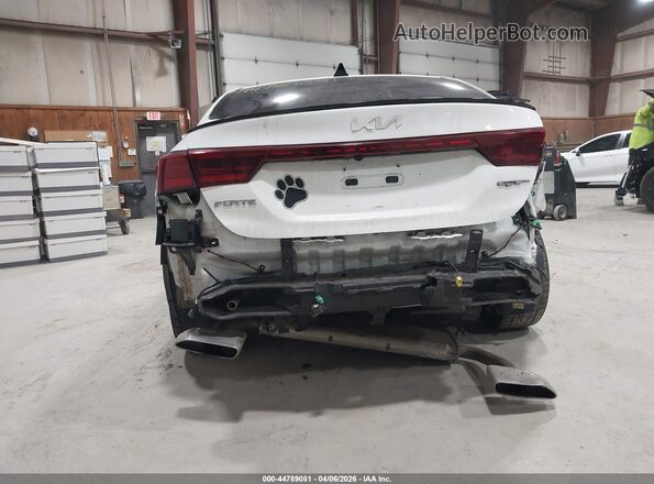 3KPF44AC8PE536498 2023 KIA FORTE White 