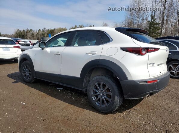 3MVDMBB73MM256467 2021 MAZDA CX-30 White Rear left