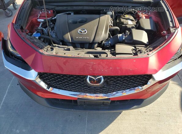 3MVDMBDL2MM319830 2021 MAZDA CX-30 Red Rear interior view