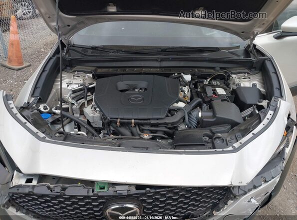 3MVDMBDM0PM515262 2023 MAZDA CX-30 Tan უკანა ხედი
