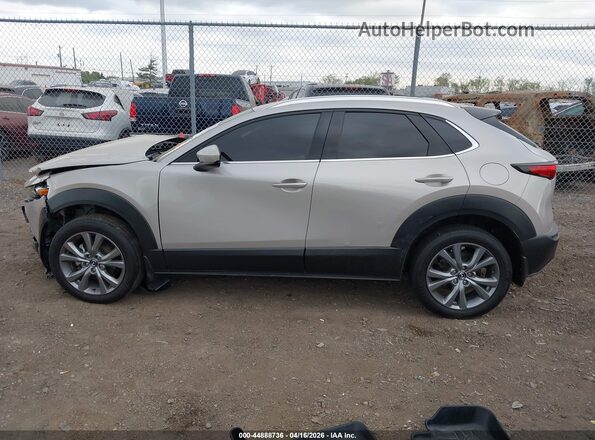 3MVDMBDM0PM515262 2023 MAZDA CX-30 Tan სალონის 360-გრადუსიანი ხედი