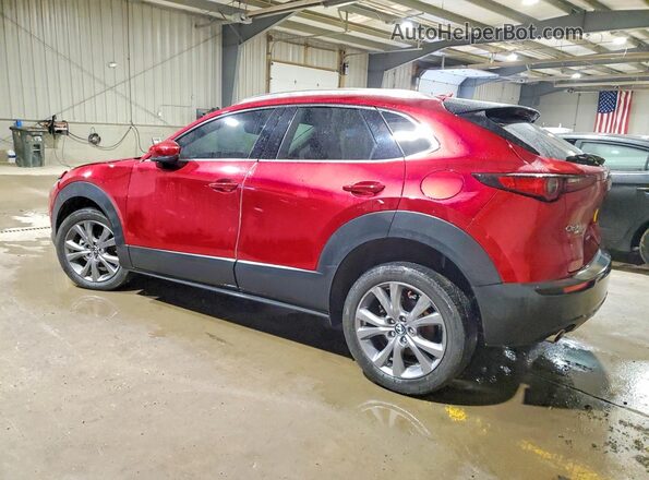 3MVDMBDM5MM220279 2021 MAZDA CX-30 Red Задня ліва чверть