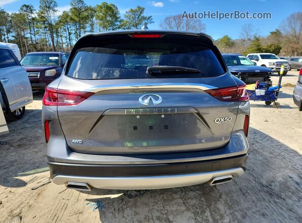 3PCAJ5AB3NF118244 2022 INFINITI QX50 Gray უკანა ხედი