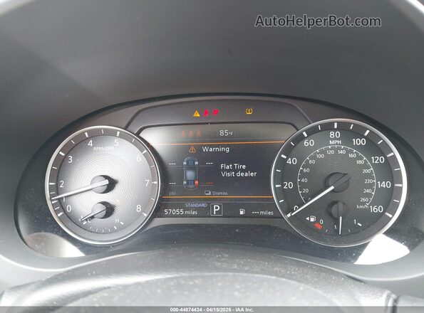 3PCAJ5BA1PF106165 2023 INFINITI QX50 Gray უკანა სავარძლების ხედი