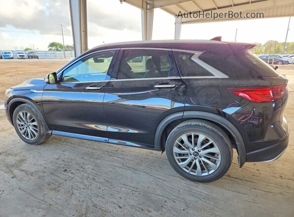 3PCAJ5BA8RF103010 2024 INFINITI QX50 Black Հետևի ձախ