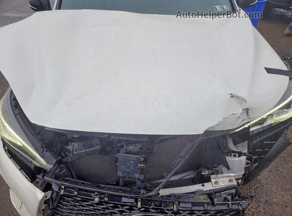 3PCAJ5BB6MF117652 2021 INFINITI QX50 Белый Вид задней части салона