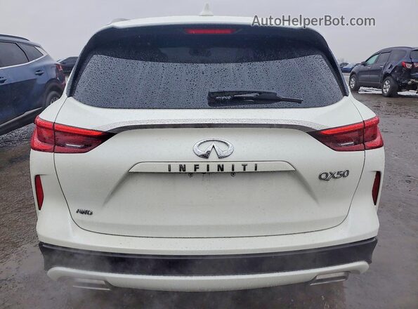3PCAJ5BB6MF117652 2021 INFINITI QX50 Белый Вид сзади