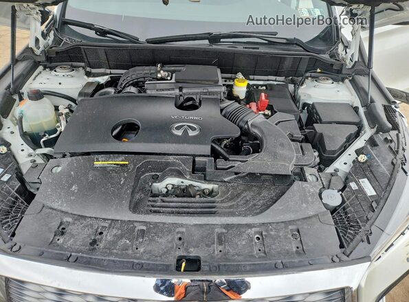 3PCAJ5JR4SF100800 2025 INFINITI QX55 Белый Вид задней части салона