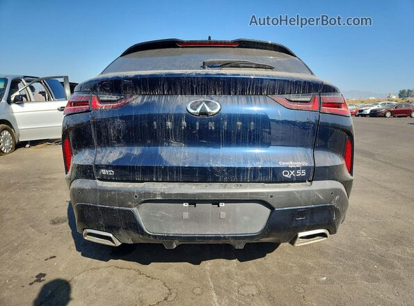 3PCAJ5JR4SF102675 2025 INFINITI QX55 Blue Rear view