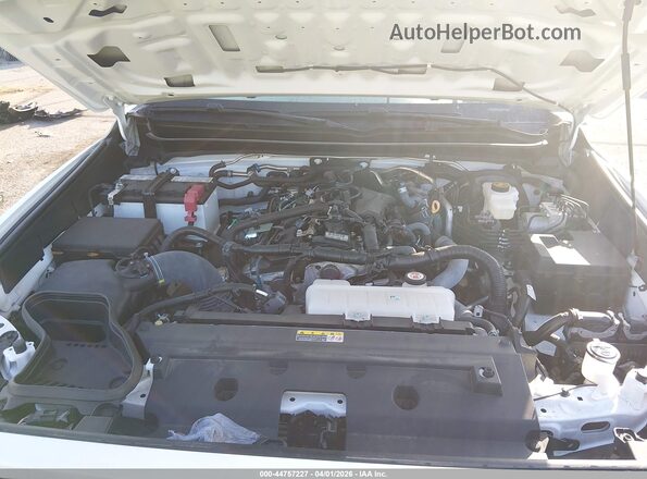 3TMKB5FN0SM033261 2025 TOYOTA TACOMA White Widok z tyłu