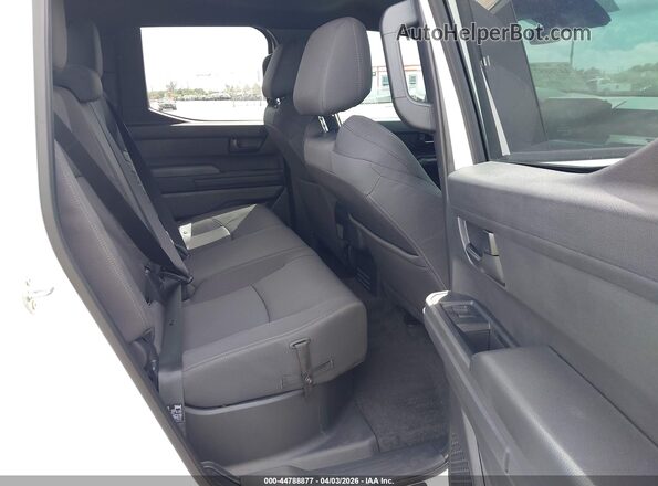 3TMKB5FN5SM042134 2025 TOYOTA TACOMA White 