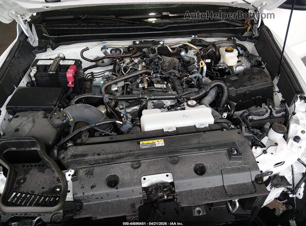 3TYKD5HN1ST031952 2025 TOYOTA TACOMA White Widok z tyłu