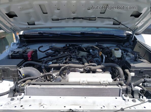 3TYKD5HN4RT009504 2024 TOYOTA TACOMA Black Вид ззаду