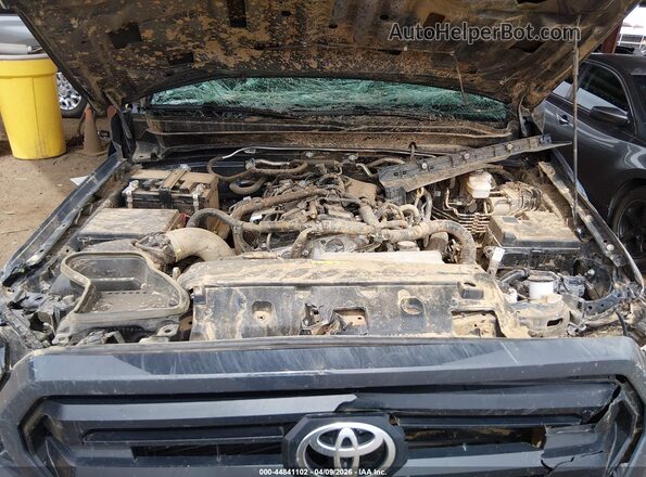 3TYKD5HNXRT009135 2024 TOYOTA TACOMA Gray Widok z tyłu