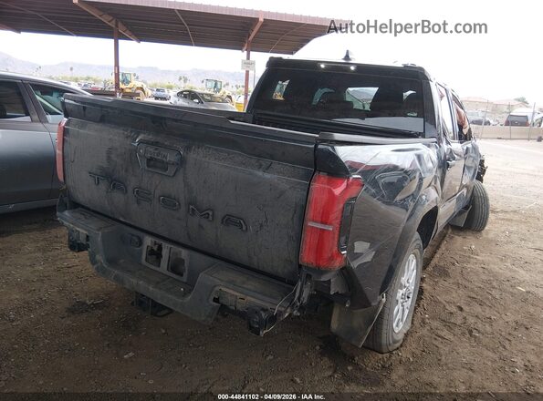 3TYKD5HNXRT009135 2024 TOYOTA TACOMA Gray Tył prawy