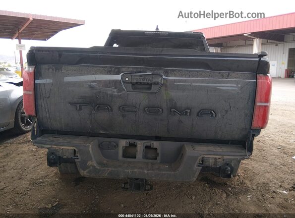 3TYKD5HNXRT009135 2024 TOYOTA TACOMA Gray 