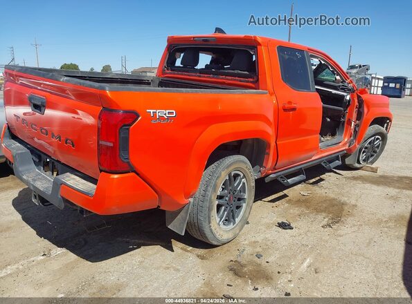 3TYLB5JN9RT002990 2024 TOYOTA TACOMA Оранжевый Задняя правая четверть