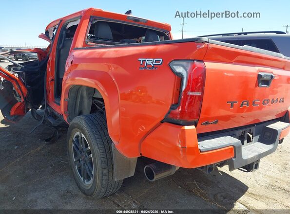 3TYLB5JN9RT002990 2024 TOYOTA TACOMA Оранжевый Задняя левая четверть