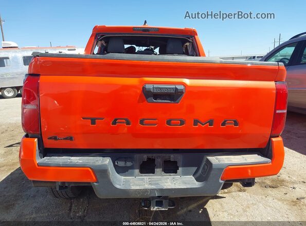 3TYLB5JN9RT002990 2024 TOYOTA TACOMA Оранжевый 