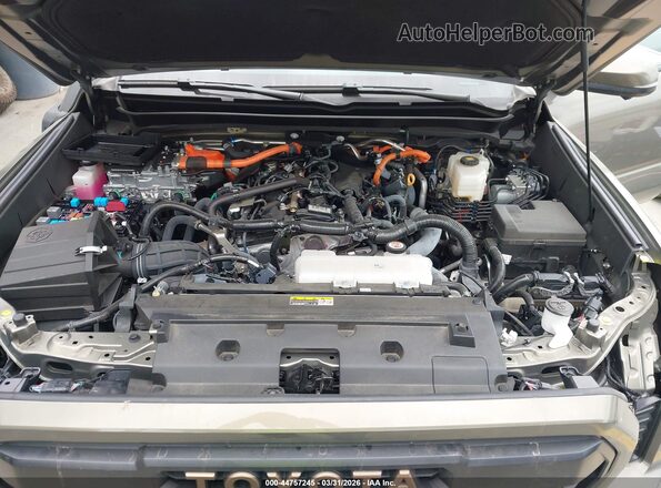 3TYLC5LN6ST024302 2025 TOYOTA TACOMA HYBRID Pewter Rear view