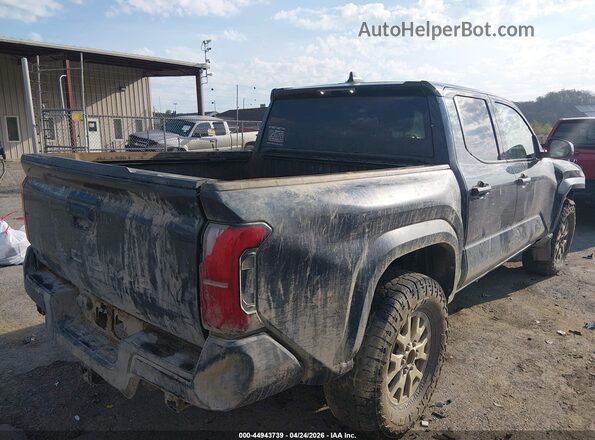 3TYLD5KN2RT010986 2024 TOYOTA TACOMA Gray Rear right