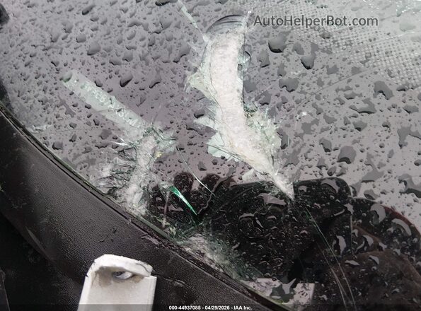 3VV0B7AX3LM117329 2020 VOLKSWAGEN TIGUAN White Widok z przodu