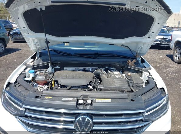 3VV2B7AX3RM068859 2024 VOLKSWAGEN TIGUAN Белый Вид сзади
