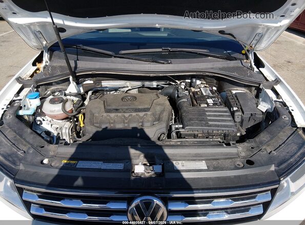 3VV2B7AX9KM185836 2019 VOLKSWAGEN TIGUAN Белый Вид сзади