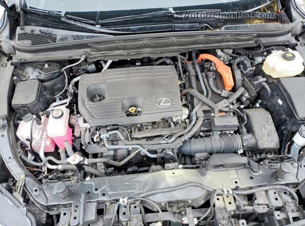 2T2BBMCA4RC024623 2024 LEXUS RX Charcoal 