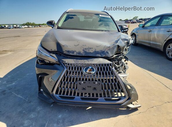 2T2AGCEZ6TC107083 2026 LEXUS NX Black Rear view
