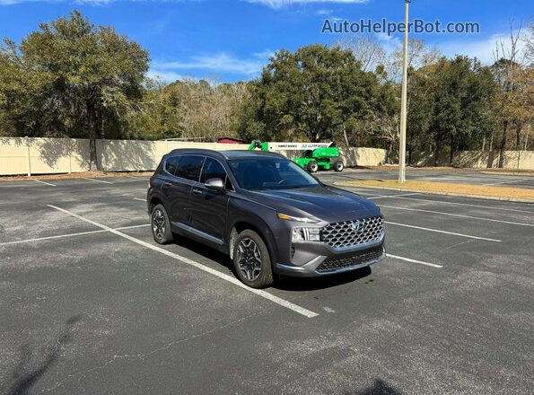 KM8S3DA10MU011900 2021 HYUNDAI SANTA FE Gray უკანა მარცხენა