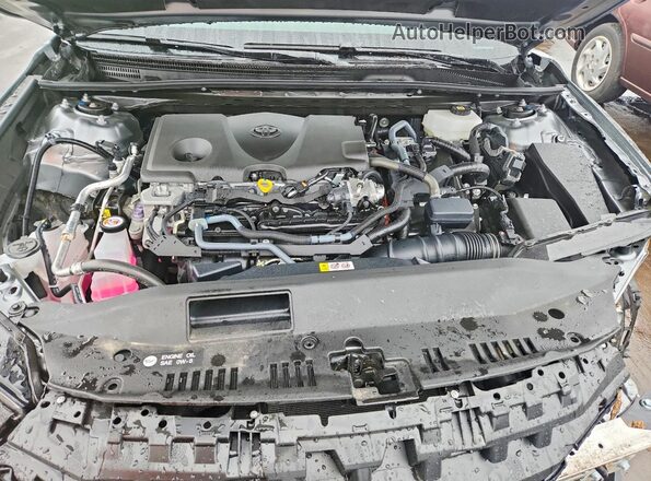 4T1DBADKXTU550117 2026 TOYOTA CAMRY Серый Вид задней части салона