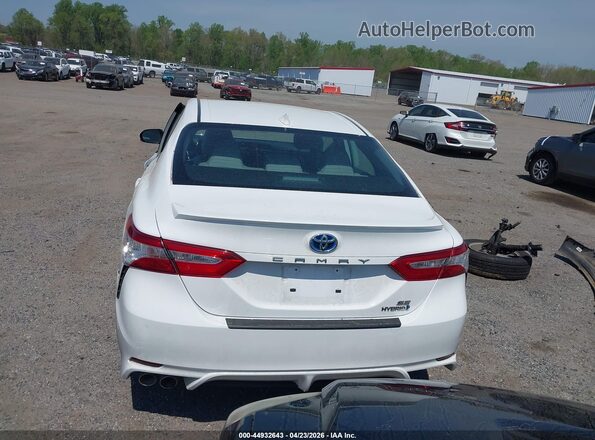 4T1J31AK7LU532596 2020 TOYOTA CAMRY White 