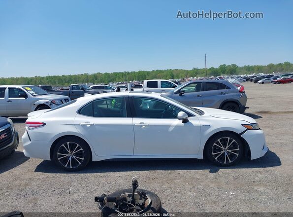 4T1J31AK7LU532596 2020 TOYOTA CAMRY White Widok wnętrza z tyłu