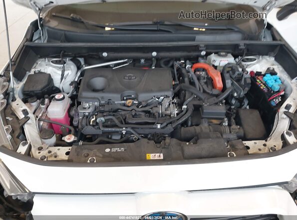 4T3E6RFV1MU032209 2021 TOYOTA RAV4 HYBRID Белый Вид сзади