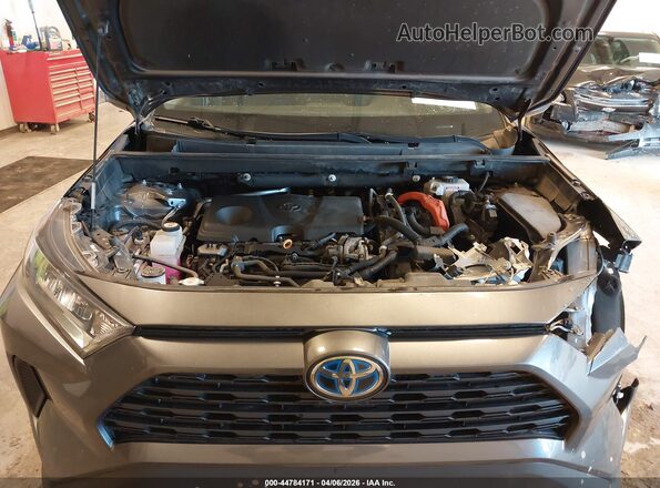 4T3LWRFV2MU040150 2021 TOYOTA LE Gray Вид ззаду