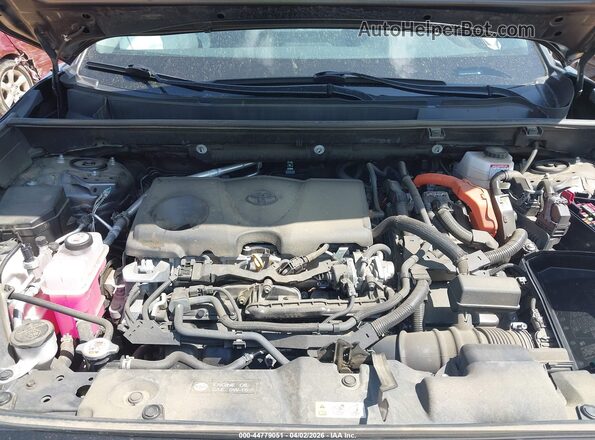 4T3LWRFV4RU154142 2024 TOYOTA LE Серый Вид сзади