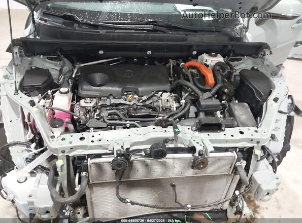 4T3RWRFV6MU048262 2021 TOYOTA LE Серый Вид сзади
