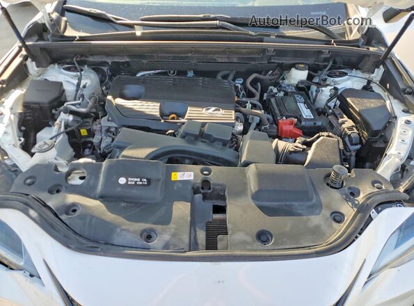 2T2ADCAZ0RC007200 2024 LEXUS NX White Vista de la etiqueta del VIN