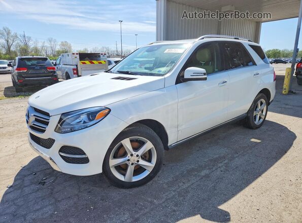 4JGDA5HB5HA816544 2017 MERCEDES-BENZ GLE Silver Trasero izquierdo
